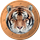 TGC